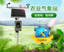山東地區無公害葡萄種植需要什么條件？
